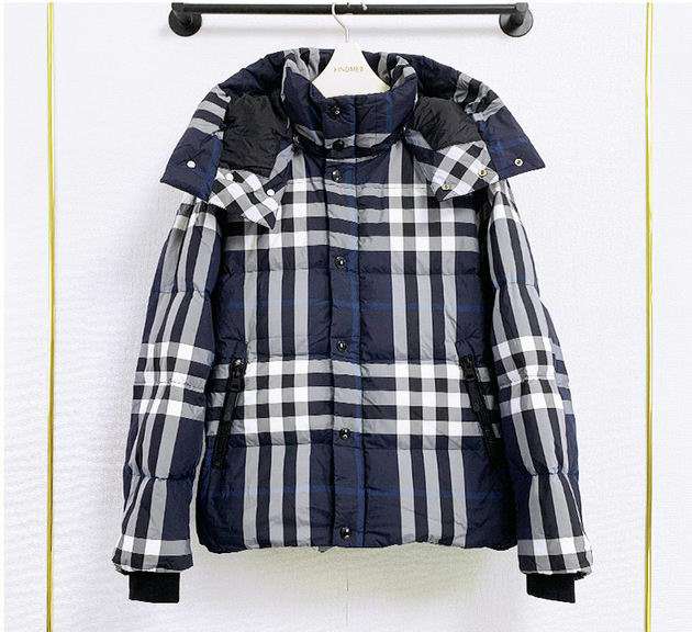 Picture of Burberry Down Jackets _SKUBurberryS-XLzyn808679